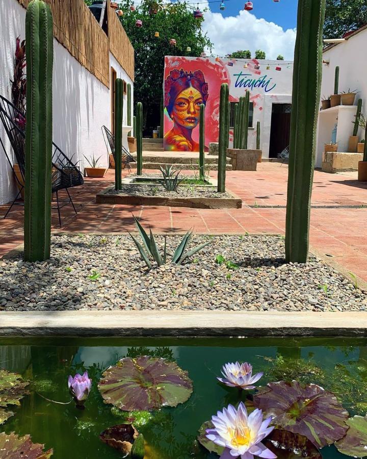 Ticuchi Hostal Oaxaca Dış mekan fotoğraf